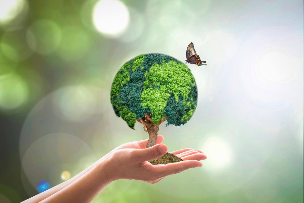 FAO y CGIAR impulsan ciencia e innovación en sistemas agroalimentarios