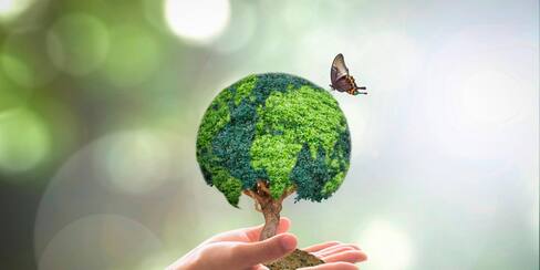 FAO y CGIAR impulsan ciencia e innovación en sistemas agroalimentarios