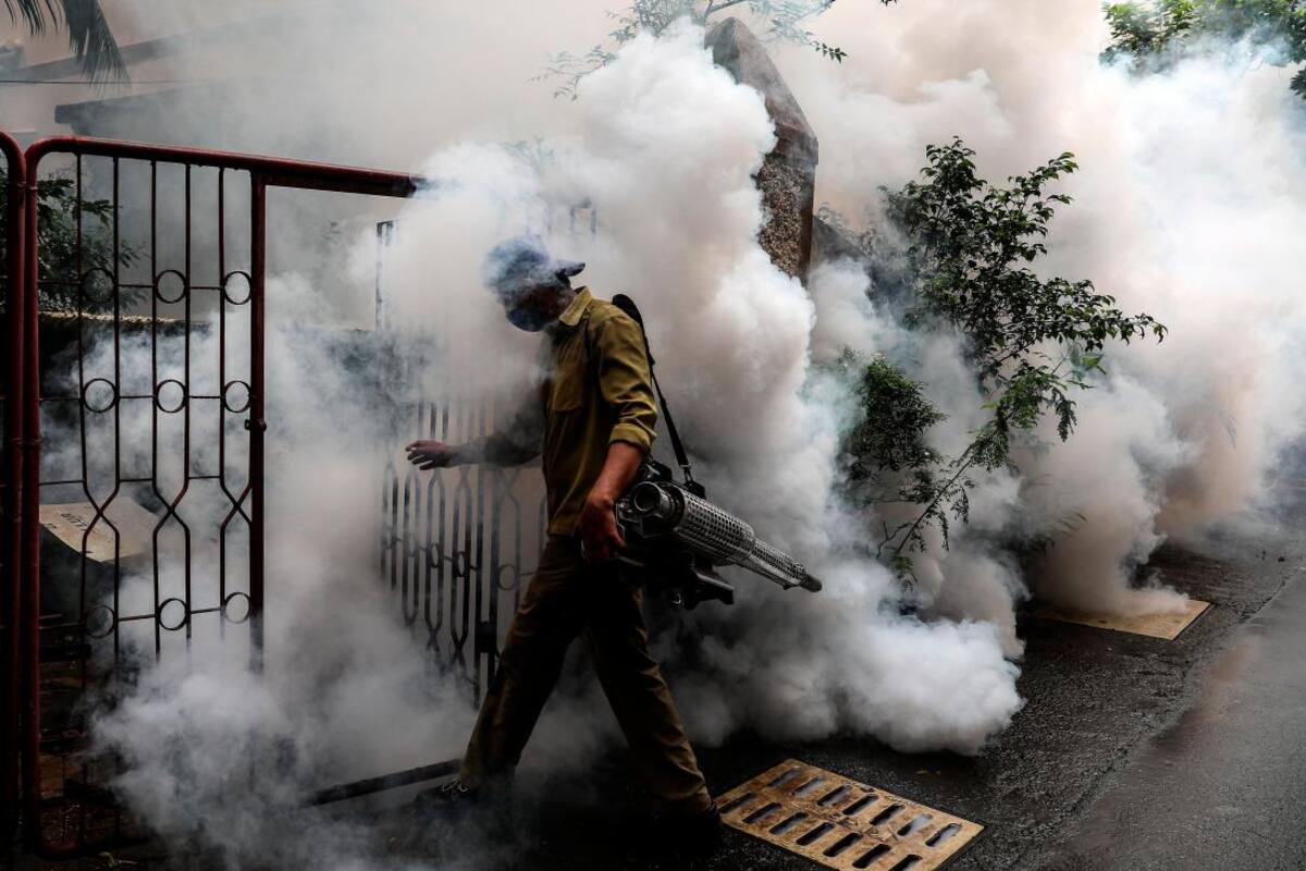 Video: cambian sexo de mosquitos en lucha contra el dengue