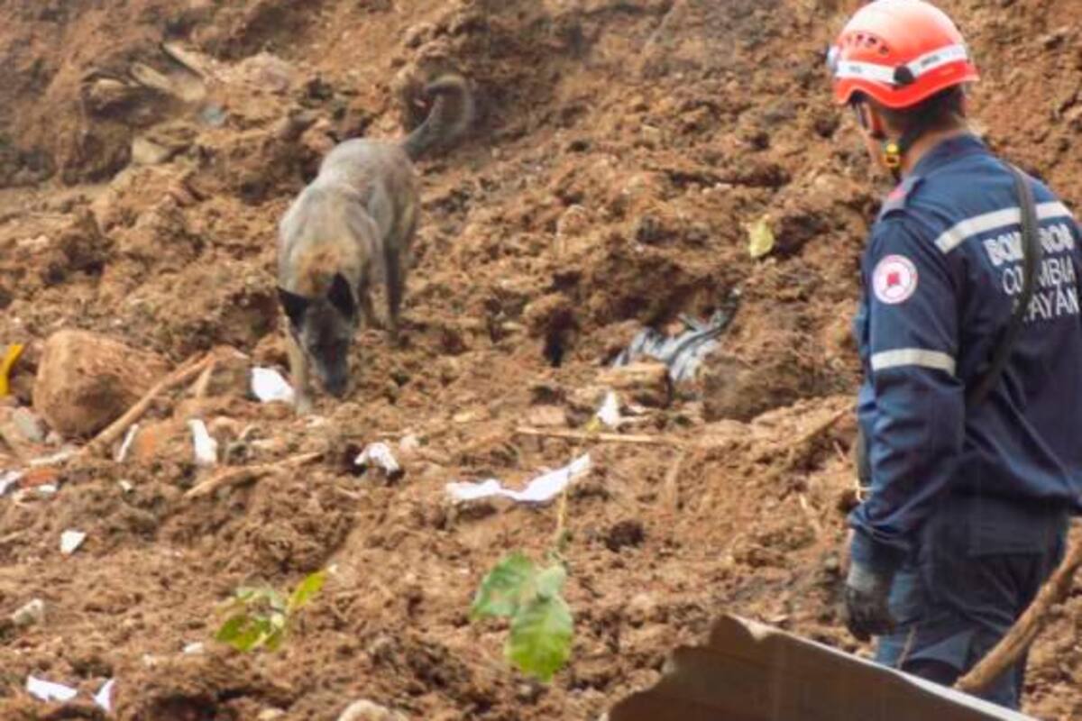 Identifican a 17 víctimas del deslizamiento de tierra en Rosas, Cauca