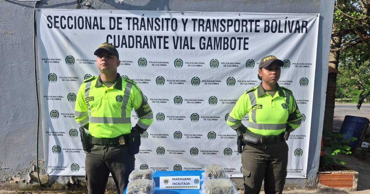 Packages with marijuana discovered in cargo truck coming to Cartagena