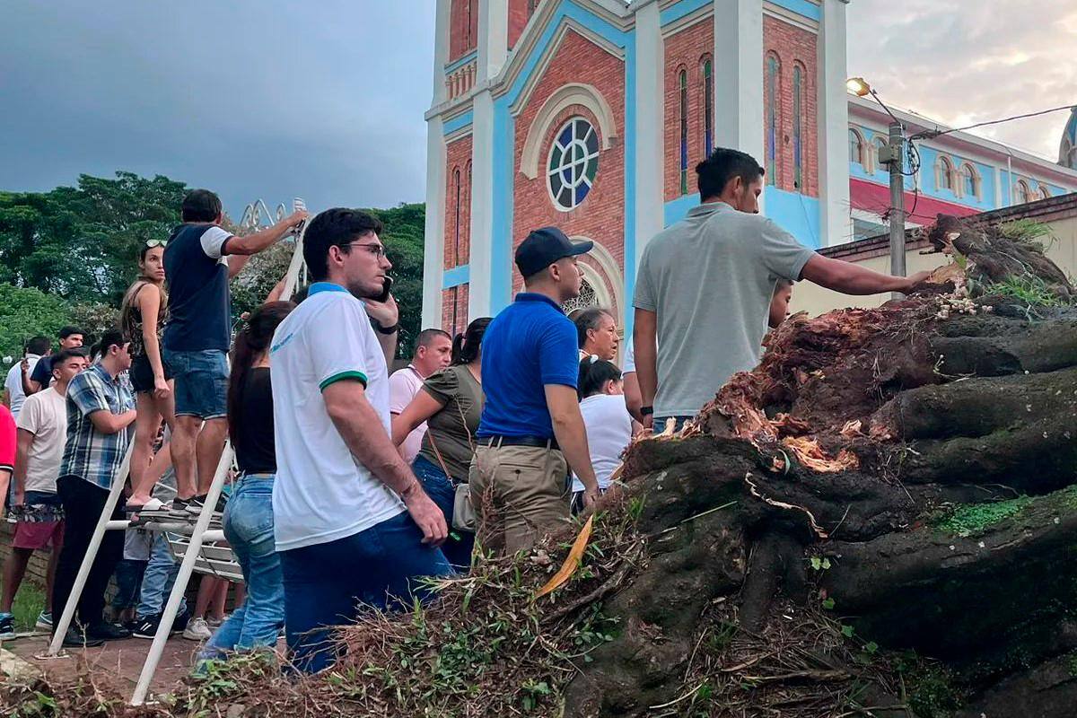 ¡Terrible! Turista falleció tras caerle encima un frondoso árbol en el Meta