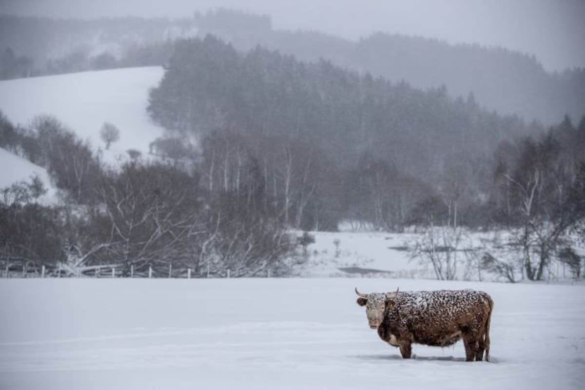 Ascienden a 21 los muertos por nevadas en Europa