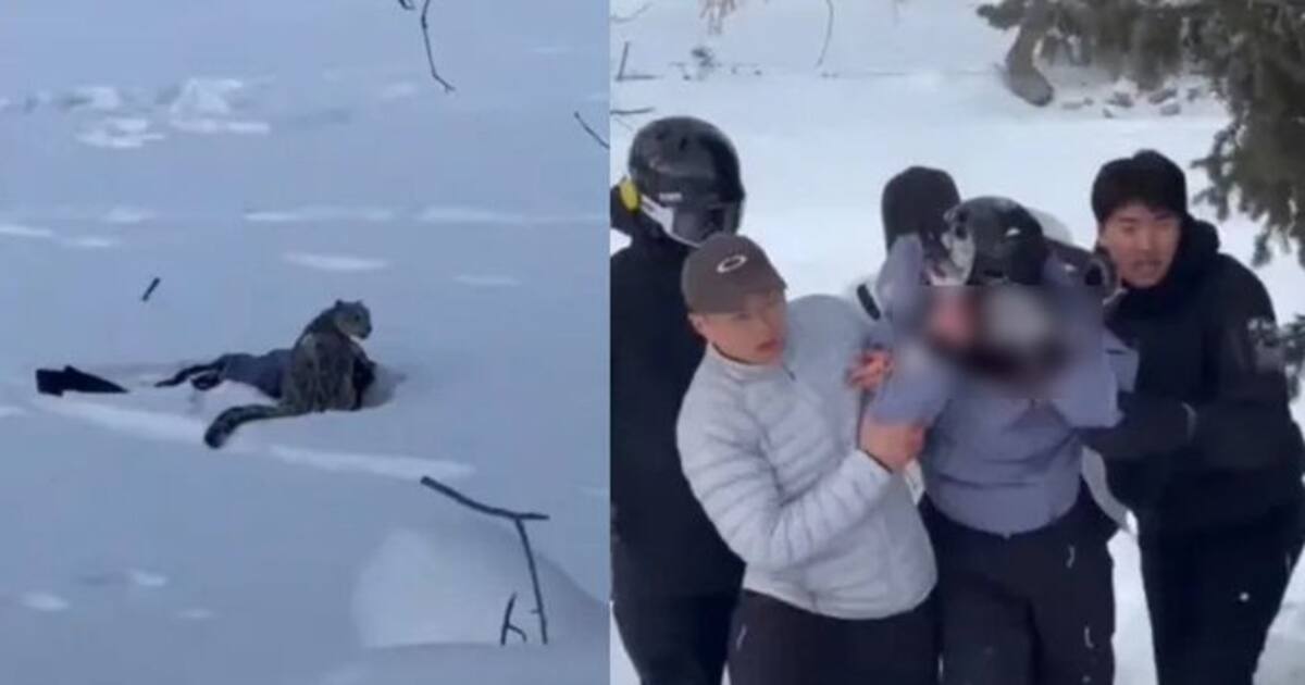 Revelan la selfie que esquiadora se tomó con un leopardo y casi le cuesta la vida