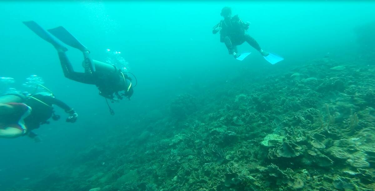 En el sector conocido como “Ciénaga de los Vásquez”, está sumergida la primera obra del Museo del Mar denominada 'Jardín de Medusas'. EL UNIVERSAL