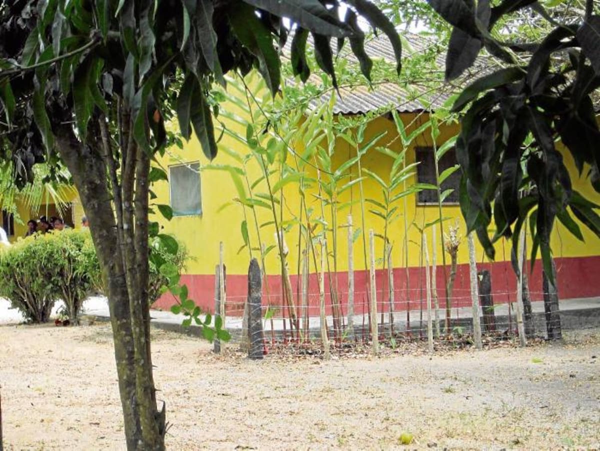 Cumplido Oviedo se quitó la vida en la habitación de su finca Nueva Iberia.