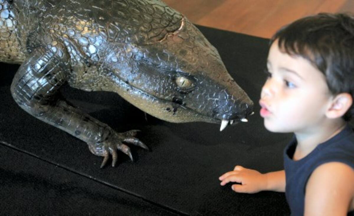 El "Armadillosuchus" vivió durante el Cretáceo -último período de la era Mesozoica.