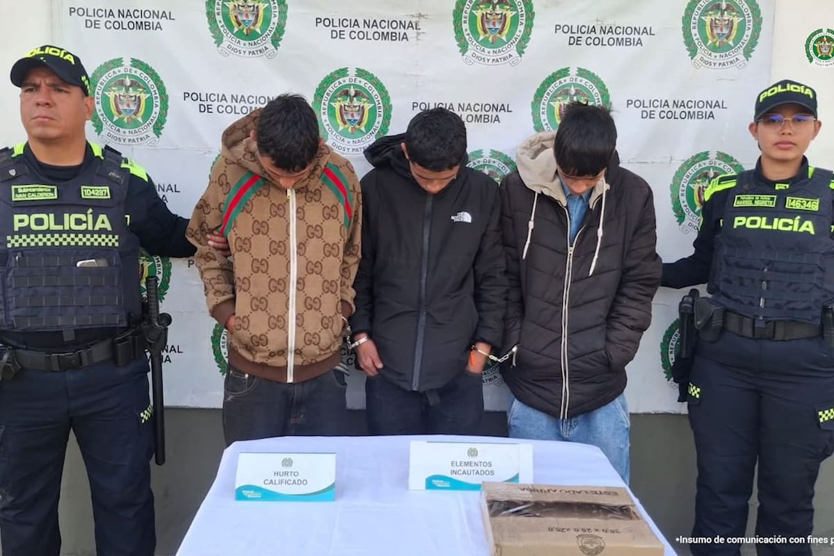 A la cárcel dos hermanos y un hombre señalados de atracar un bus de pasajeros