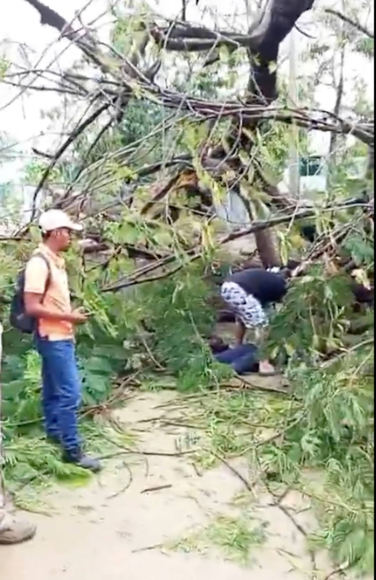 Varias personas auxiliaron a la mujer que resultó golpeada al caerle un árbol encima cuando transitaba por el norte de Barranquilla.//Captura de pantalla.
