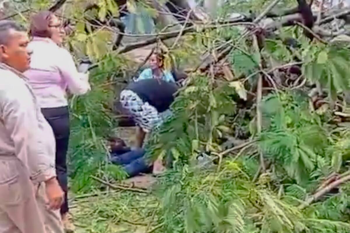 En Barranquilla, a mujer le cayó árbol encima y está viva de puro milagro