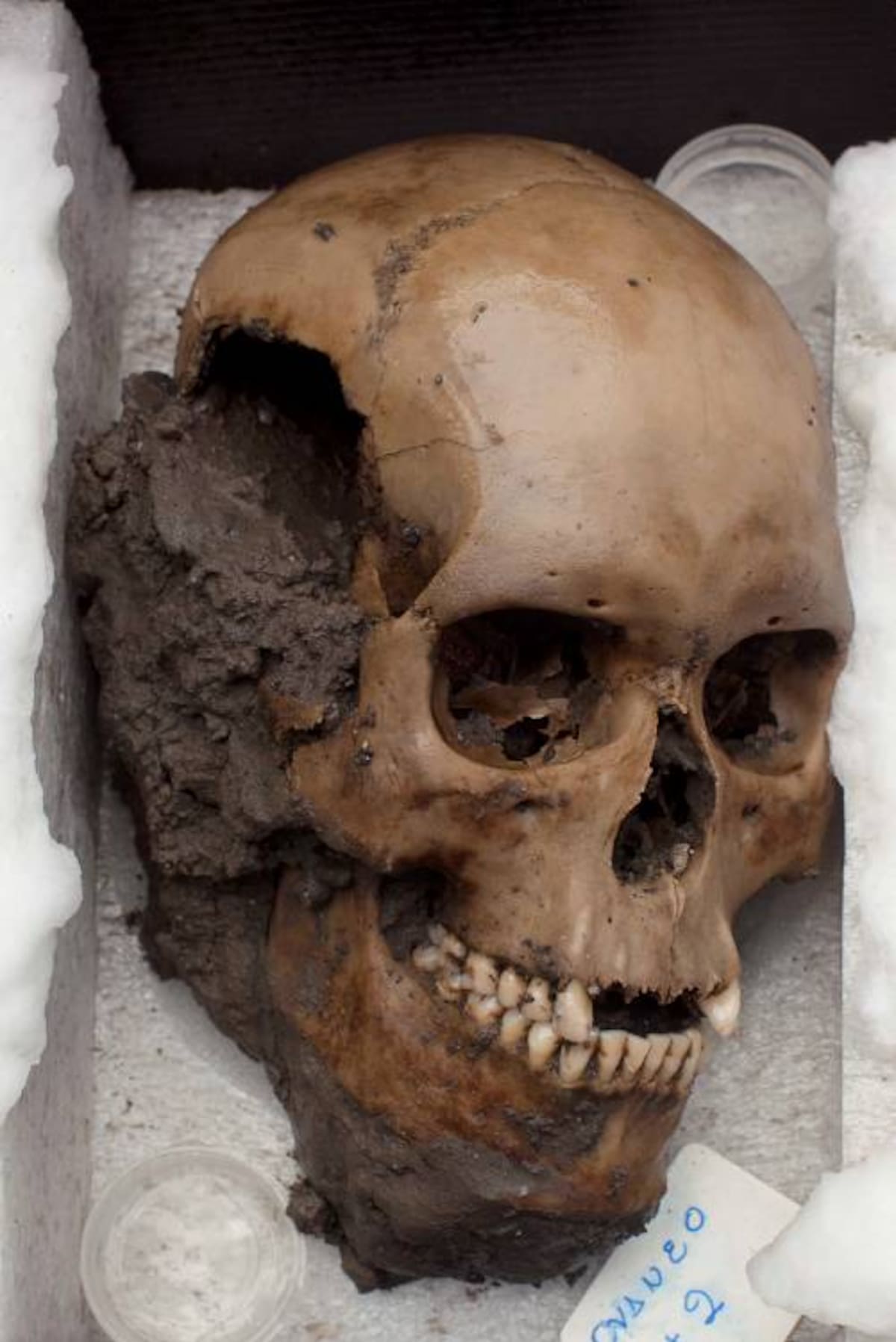 Los cráneos fueron encontrados en cercanías al templo Mayor de la Ciudad de México. AFP Ronaldo Schemidt