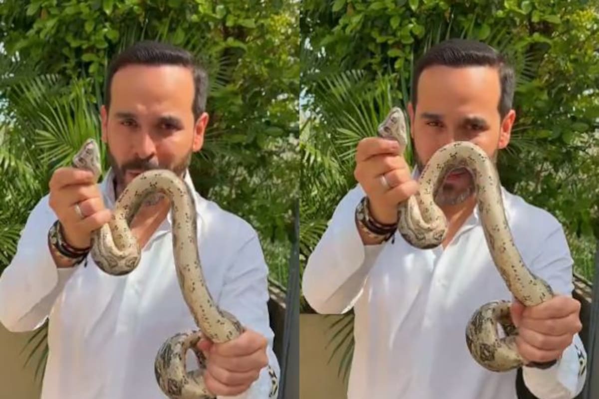 Abelardo de la Espriella publica mensaje tras encontrar una serpiente en su casa