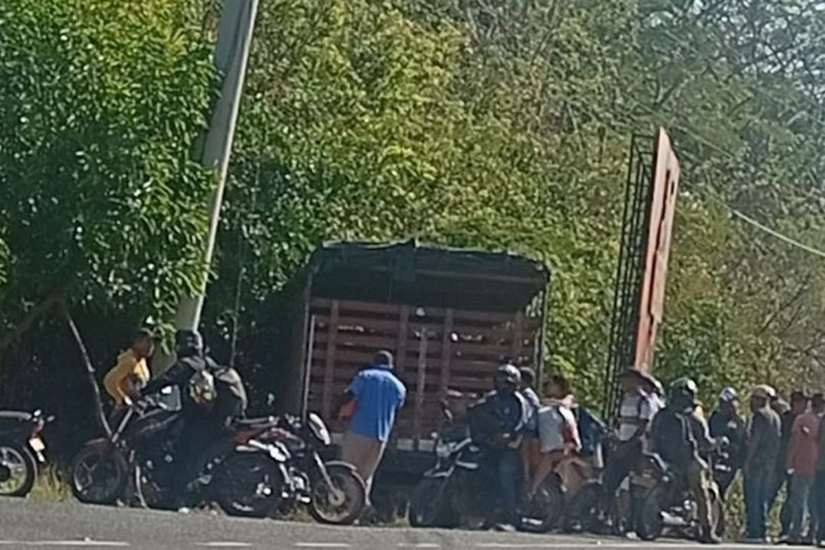 Camión cargado de cerdos perdió el control y arrolló a padre e hijo en la Vía del Mar