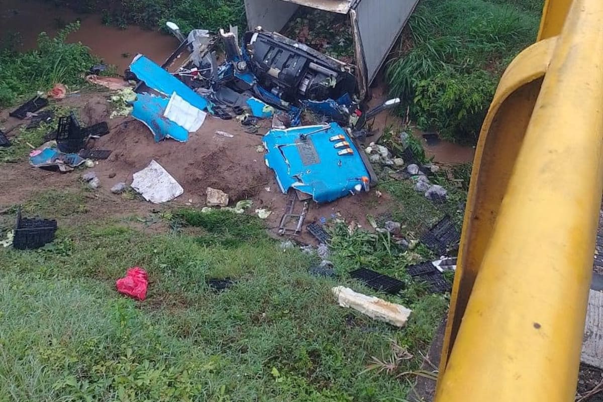Tractomula pierde el control y cae desde un puente: conductor muere