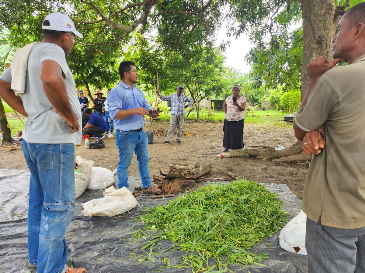 Las escuelas del conocimiento, lideradas por Asohofrucol, son espacios de gran utilidad para los productores del campo. //Cortesía