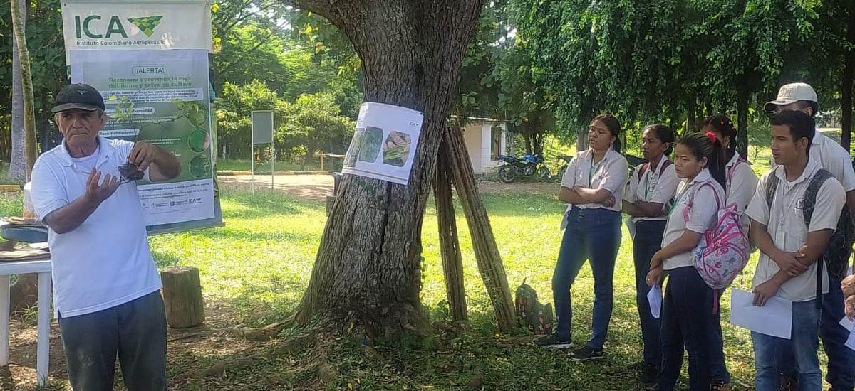 Actividades preventivas del ICA con productores de ñame de Montes de María, para el control de la 'roya del ñame'. // Cortesía Minagricultura