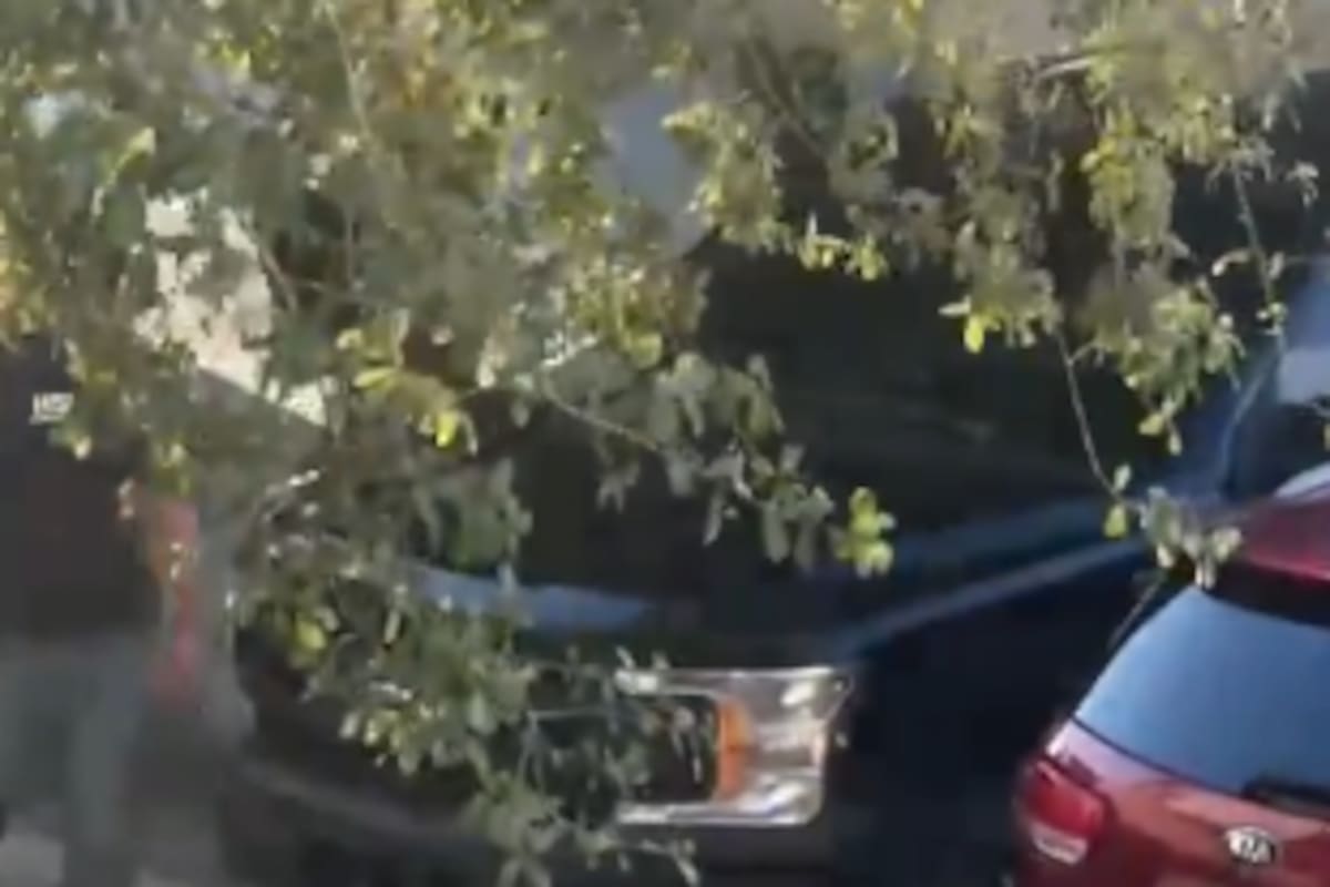Activista Beto Coral habría sido detenido: difunden video del procedimiento