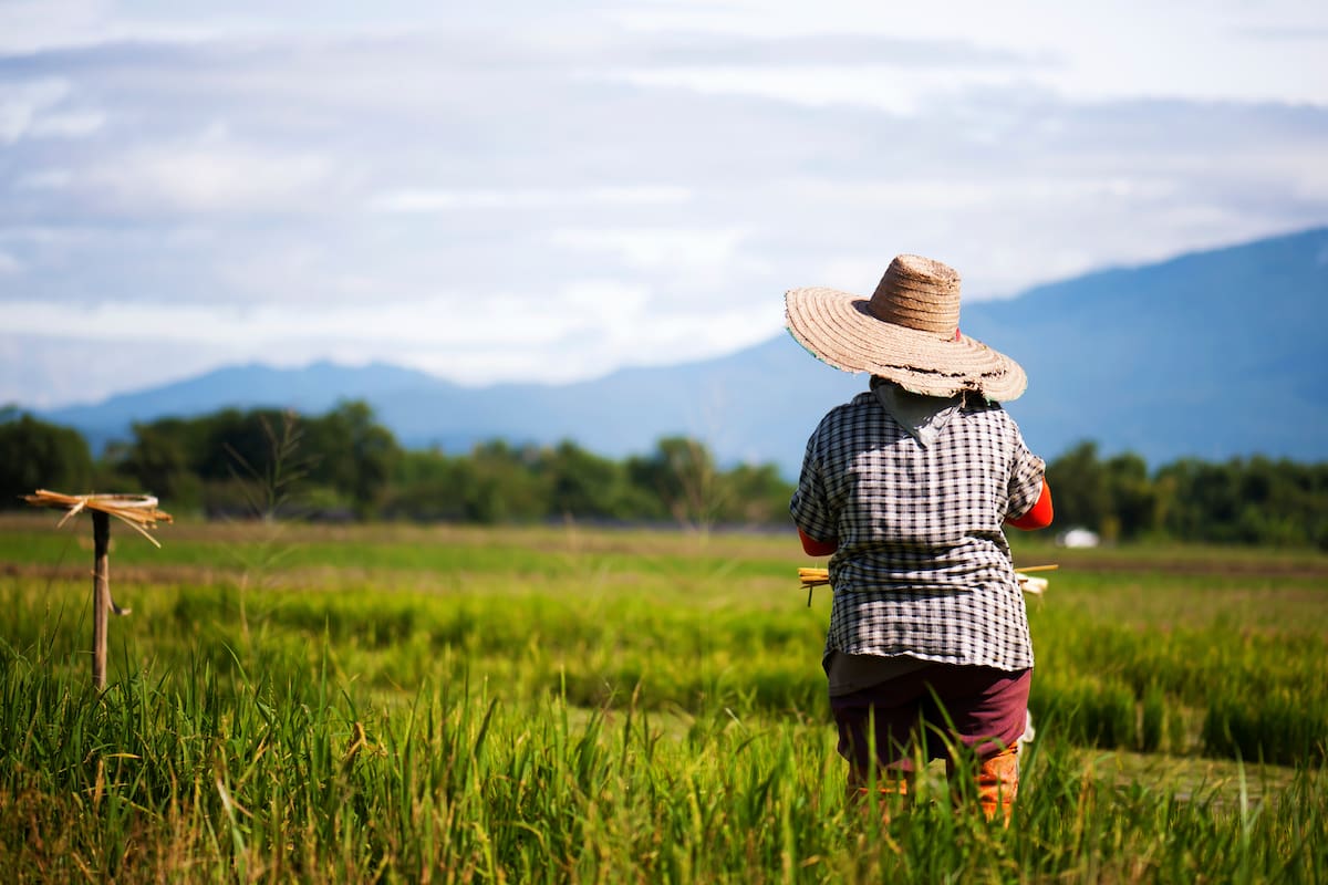 ICARRD+20: mujeres rurales, protagonistas de la nueva reforma agraria