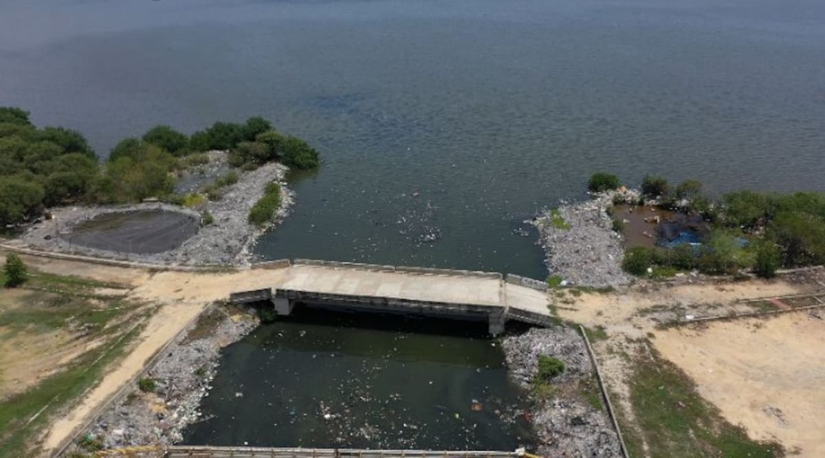 Actualidad de la Ciénaga de la Virgen.//Foto: cortesía