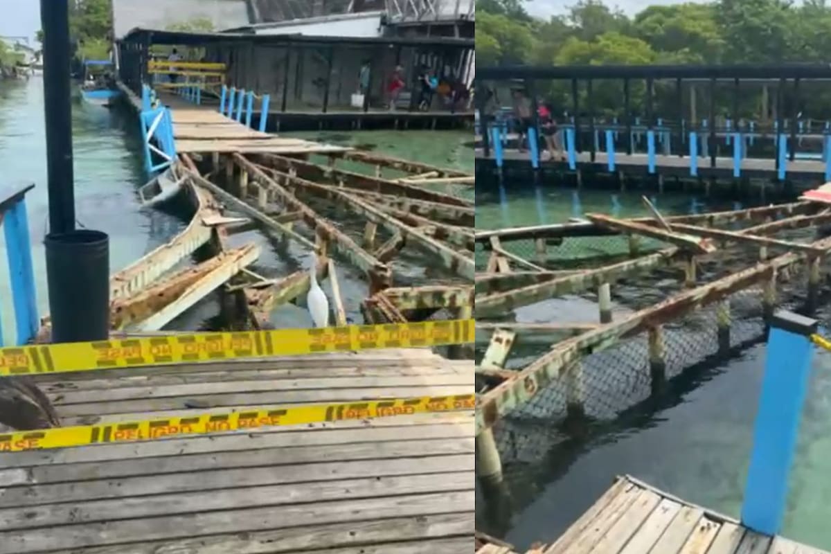 Advierten riesgo por mal estado de pasarelas de madera en Islas del Rosario