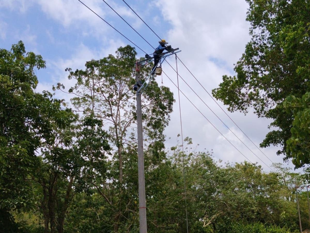 En el sitio también se detectaron conexiones ilegales. // Afinia