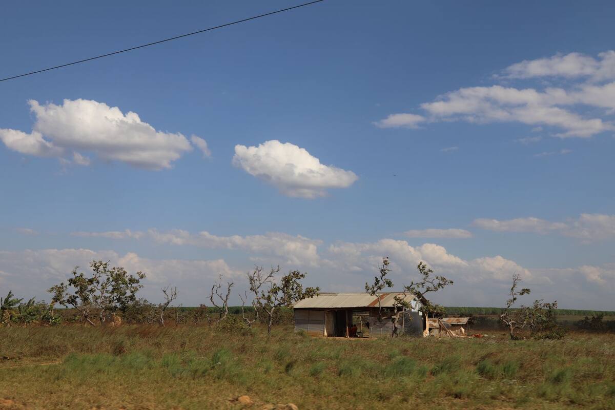Agencia Nacional de Tierras alerta por presuntas estafas a campesinos