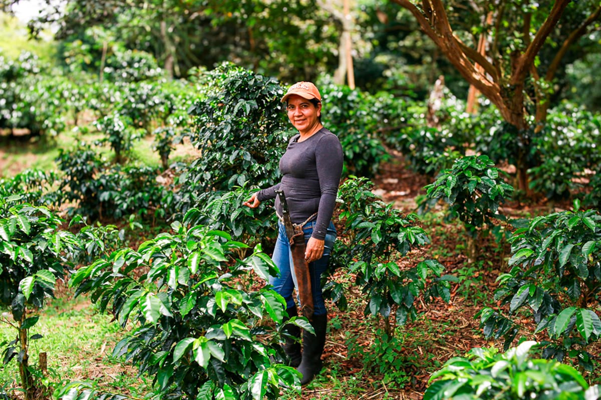 Agroexportaciones en Colombia llegaron a USD 947 millones en abril de 2024