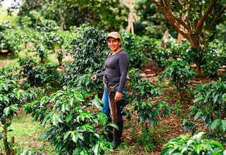 Agroexportaciones en Colombia llegaron a USD 947 millones en abril de 2024