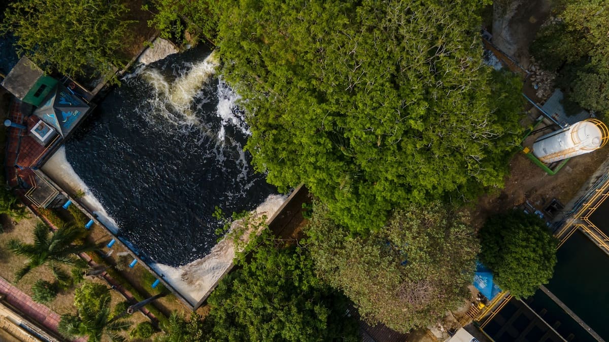 Aguas de Cartagena mantiene plan de contingencia por aumento de algas en fuentes hídricas. // Foto: cortesía de Acuacar