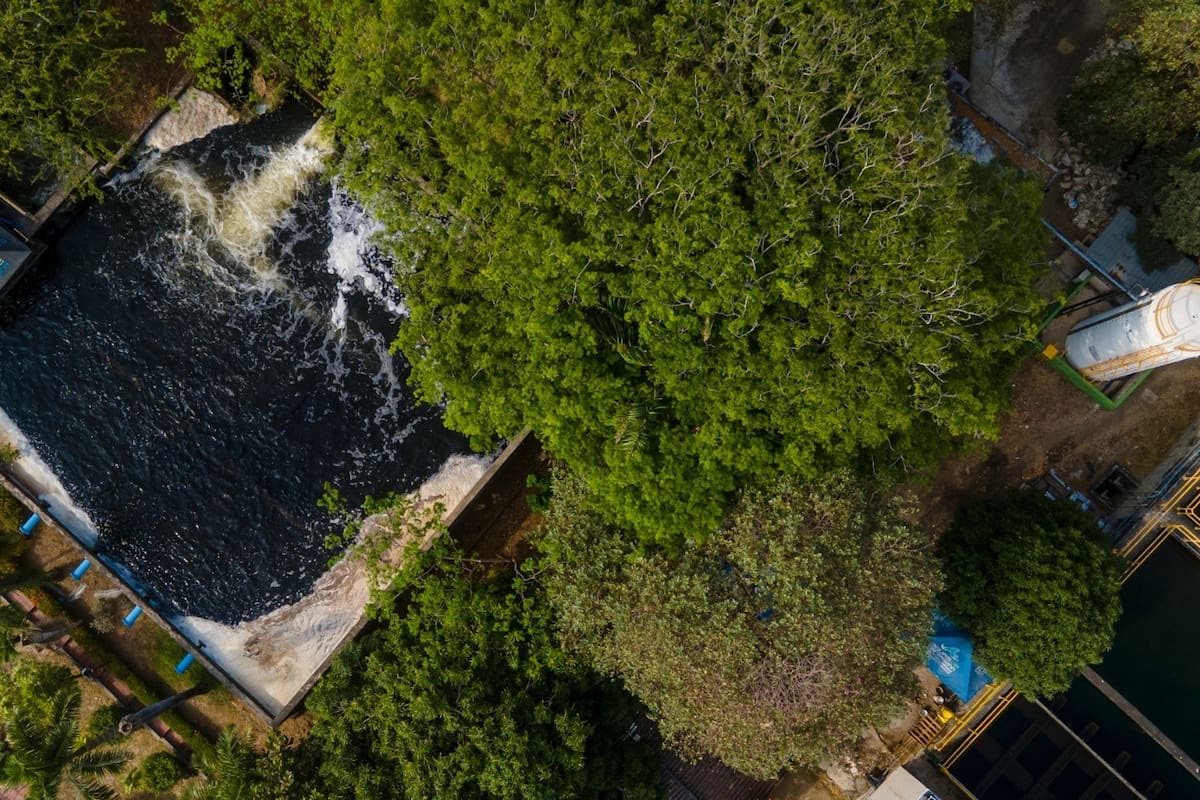 Aguas de Cartagena explica crisis por microalgas: “Comprendemos la preocupación”
