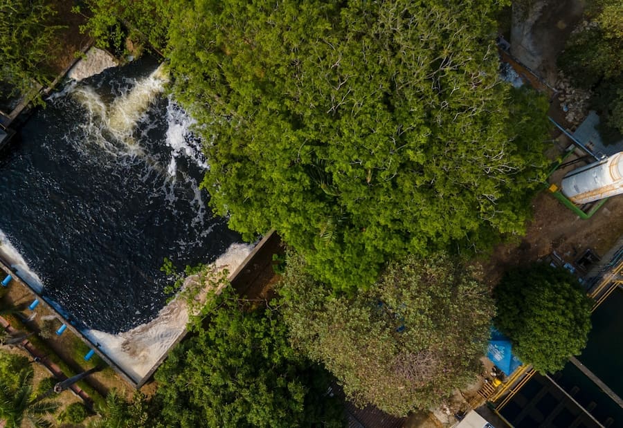 Aguas de Cartagena explica crisis por microalgas: “Comprendemos la preocupación”