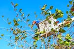 Este lunes 6 de julio se va la luz en estos municipios del Atlántico
