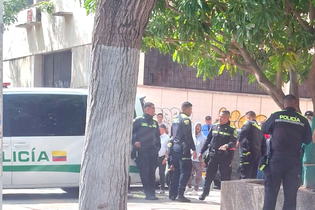 Se trata de un animal y no de una persona el cuerpo hallado en el Centro Cívico