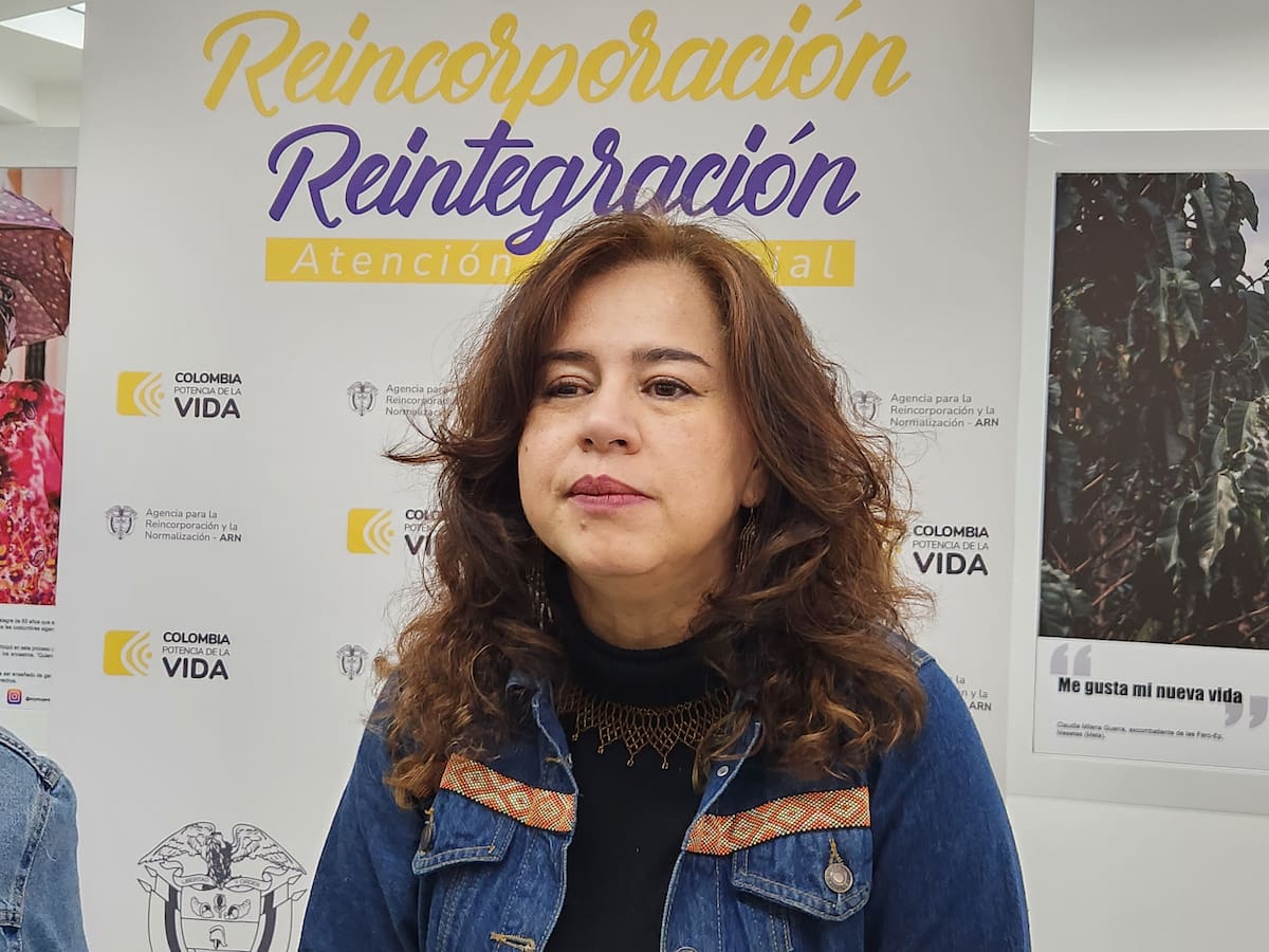 Alejandra Miller, directora de la Agencia para la Reincorporación y Normalización. // Colprensa.