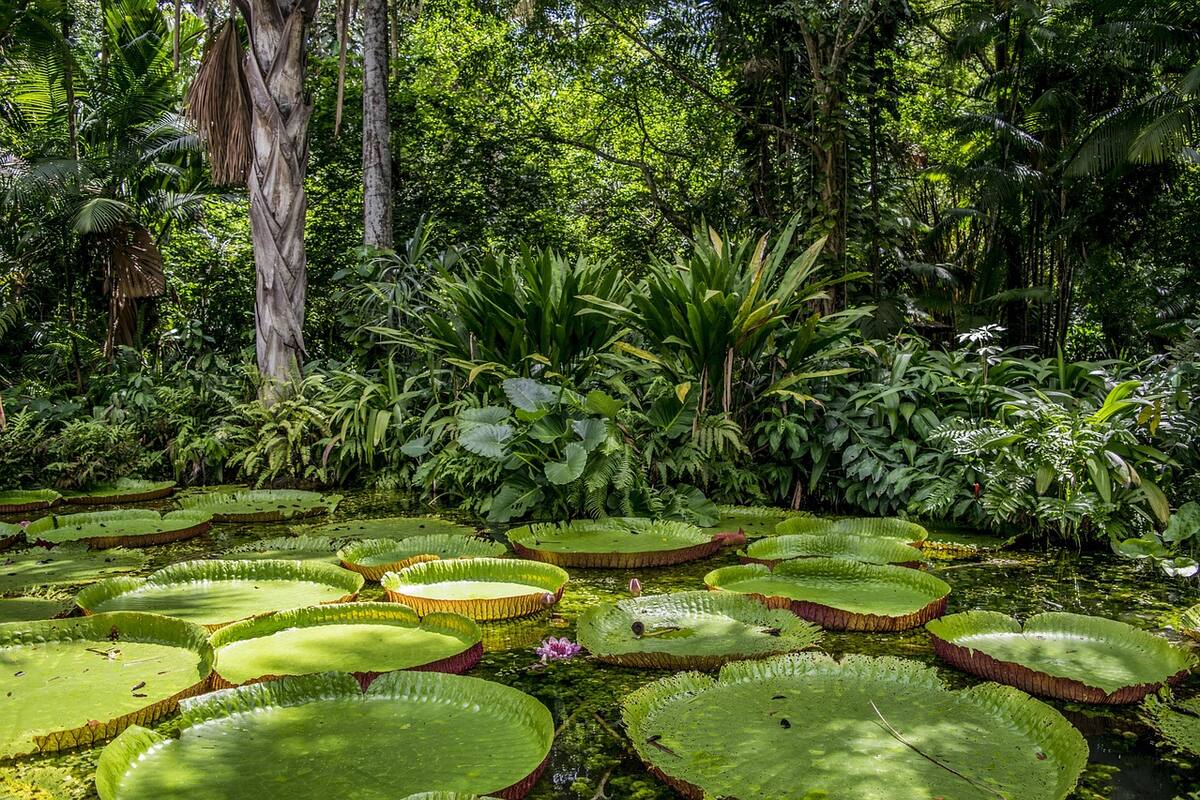 Esta región de país cuenta con una biodiversidad variada.