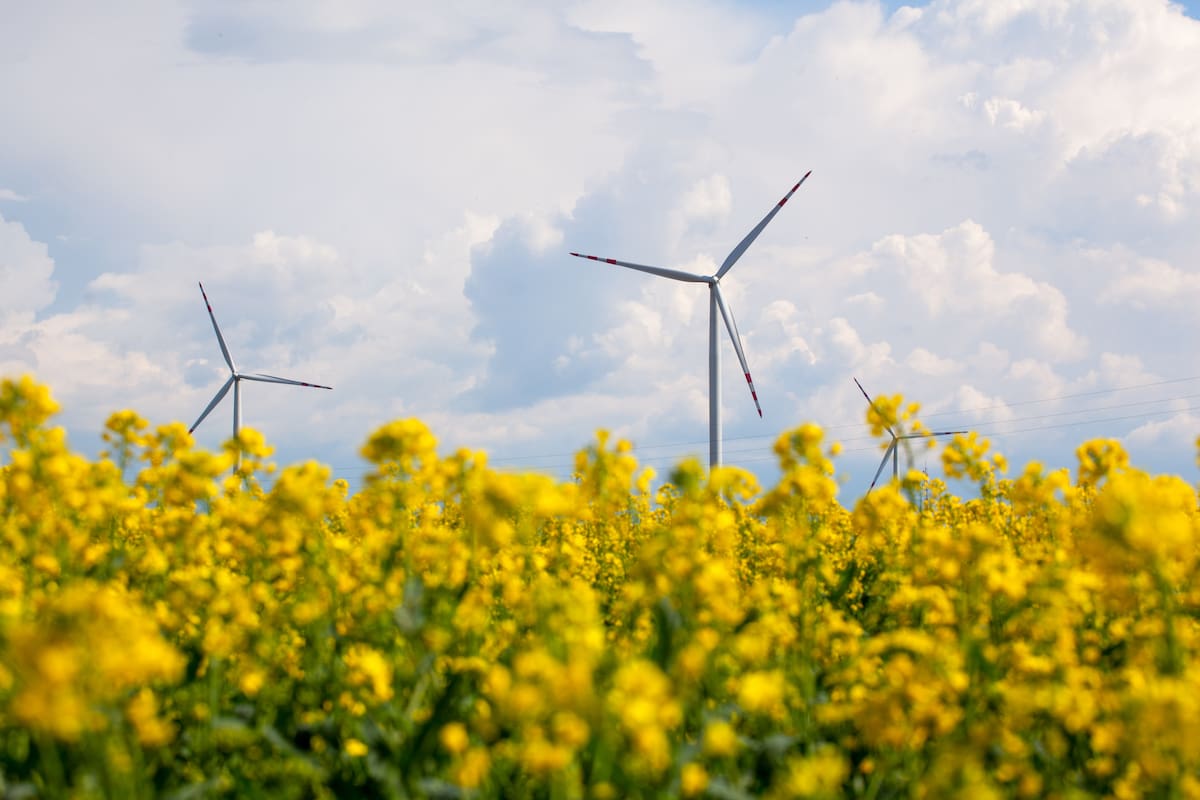 América Latina y el Caribe: líderes en la producción de energía limpia y estable