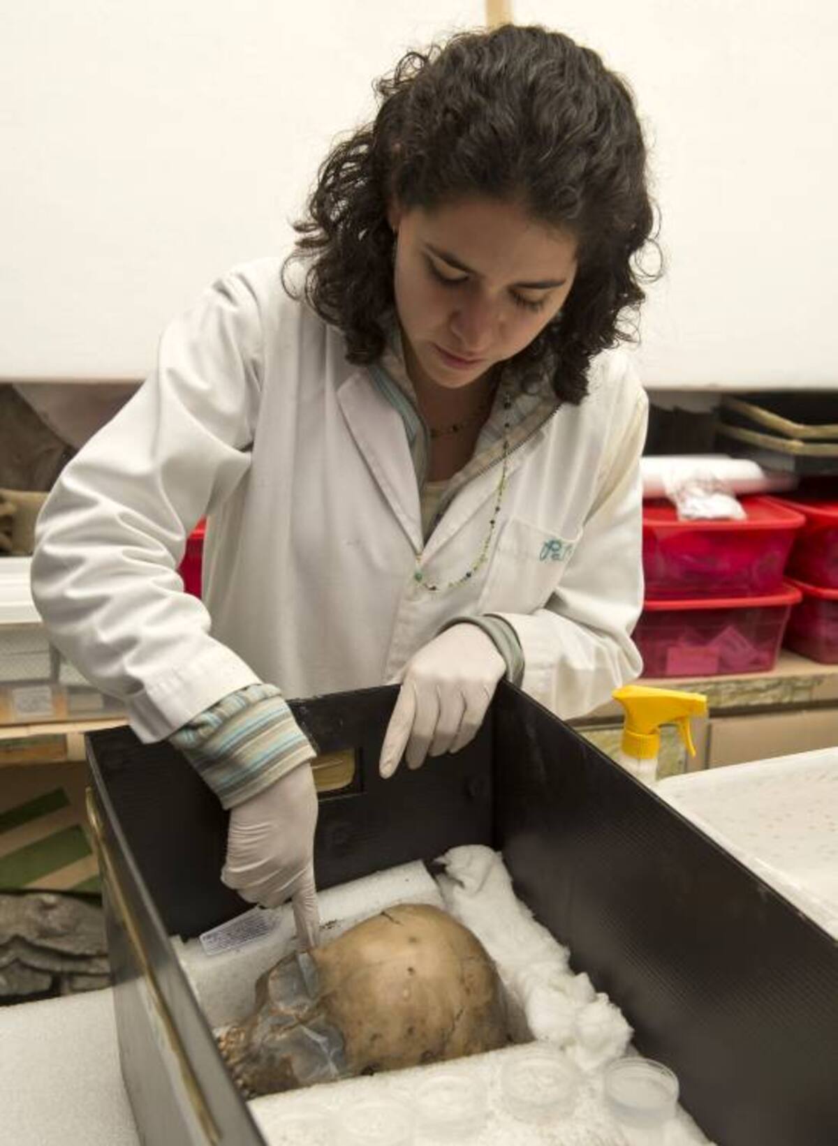 Los arqueólogos intentarán armar los cráneos que están fragmentados. AFP Ronaldo Schemidt