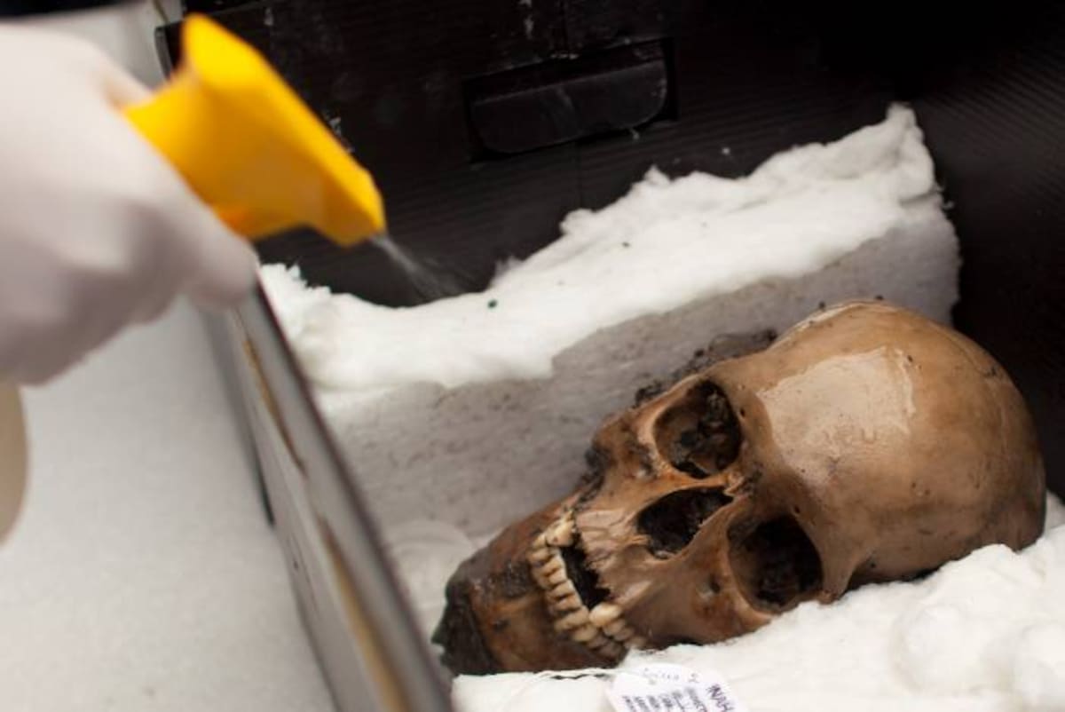 Los cráneos se hallaron en buen estado, ya que las condiciones de humedad facilitaron su conservación. AFP Ronaldo Schemidt