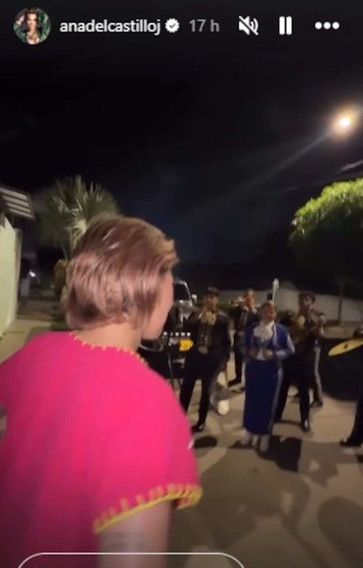 Ana del Castillo fue sorprendida por una serenata de marichis. //Foto: @anadelcastilloj