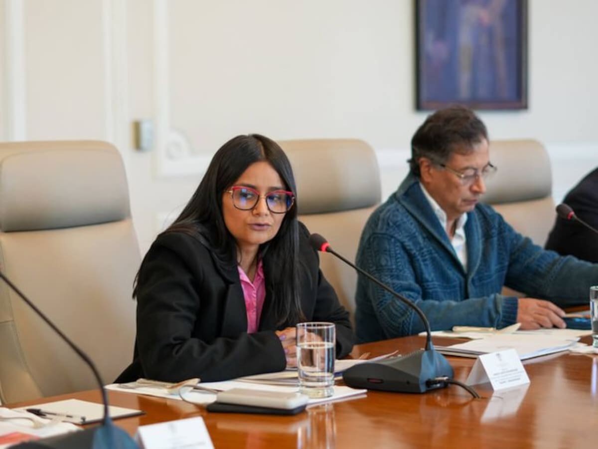 Angie Rodriguez, directora del Fondo de Adaptación. // Foto: Cortesía - Presidencia.