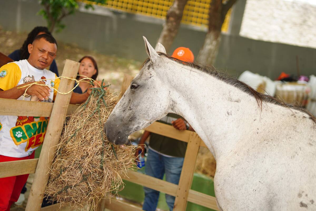 Animal Fest. // Foto: cortesía.