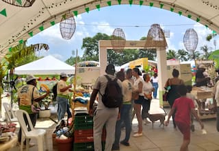 Animal Fest 2025 en Cartagena: así movió la economía local