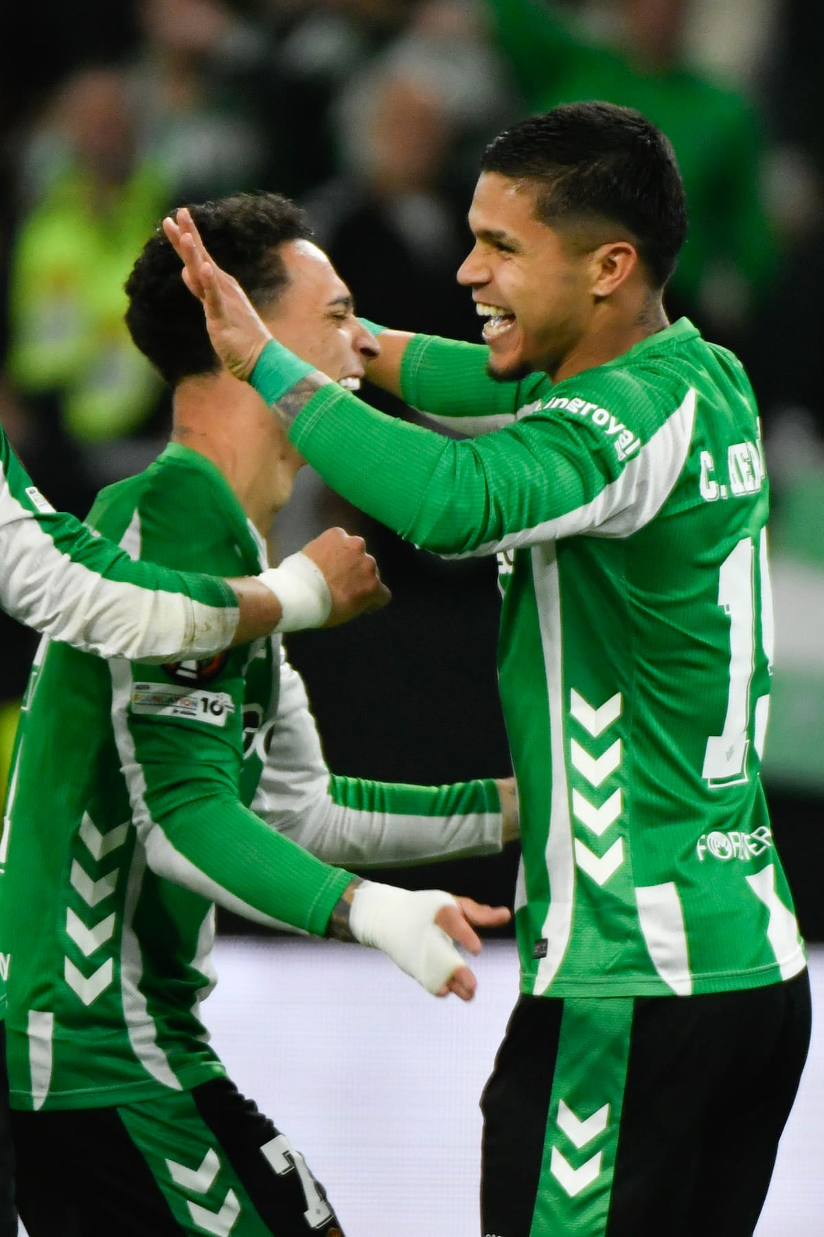 Real Betis viene de un triunfo ante Girona por LaLiga. //Foto, EFE: Raúl Caro