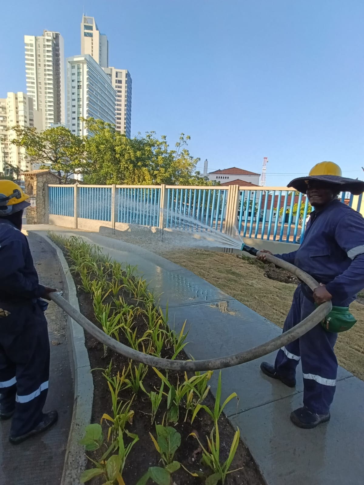 El EPA Cartagena autorizó el aprovechamiento forestal de 98 árboles. // Foto: cortesía - Alcaldía de Cartagena
