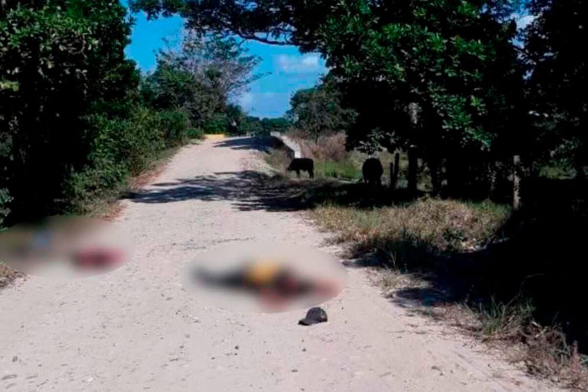 Enero cierra con 13 masacres y 13 asesinatos de líderes sociales