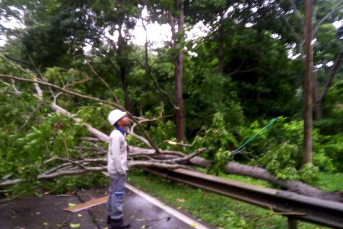 Intensas lluvias afectan servicio de energía en varios municipios de Sucre