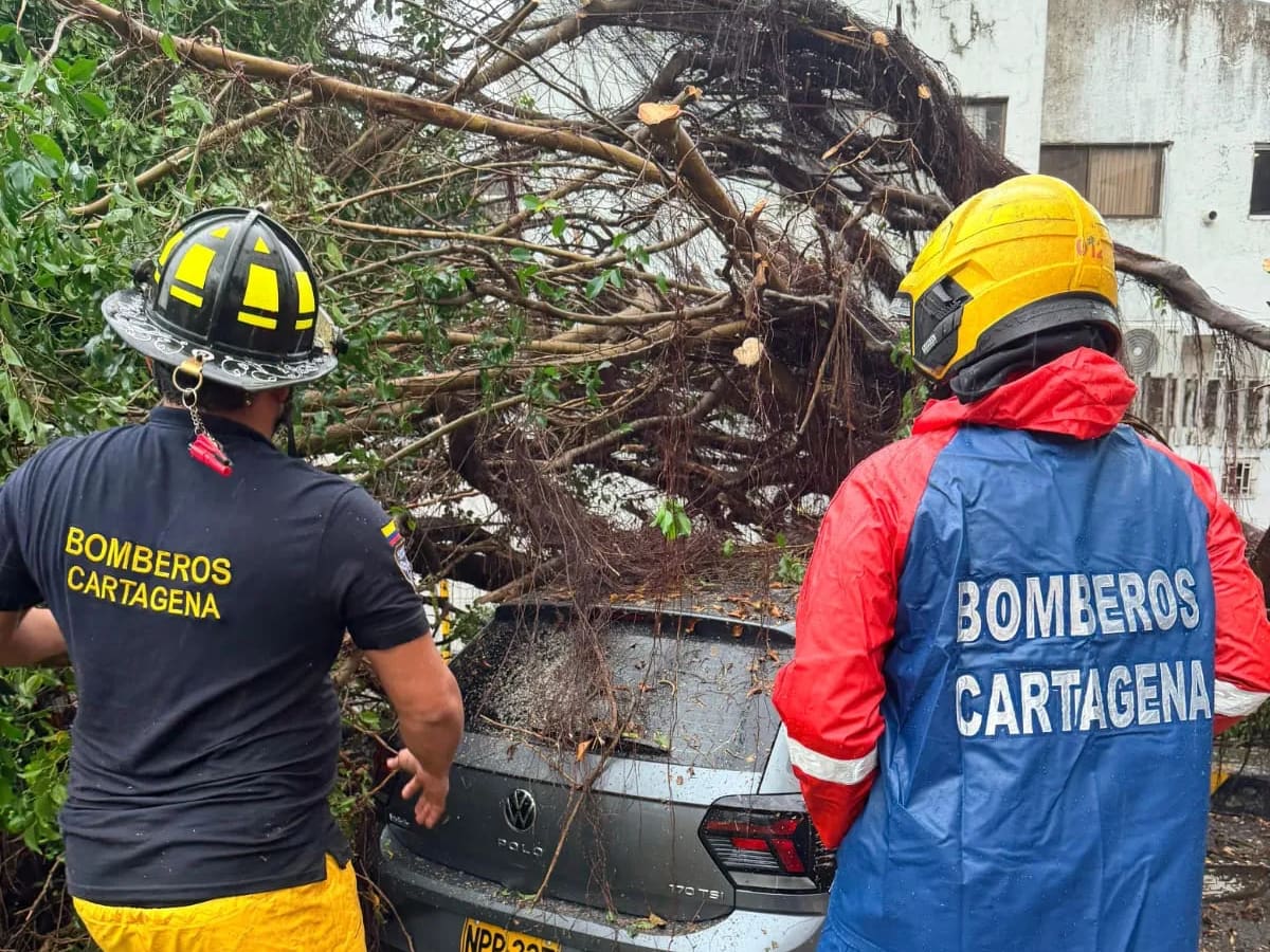Las caídas de árboles se produjeron por los fuertes vientos. // Cuerpo de Bomberos de Cartagena