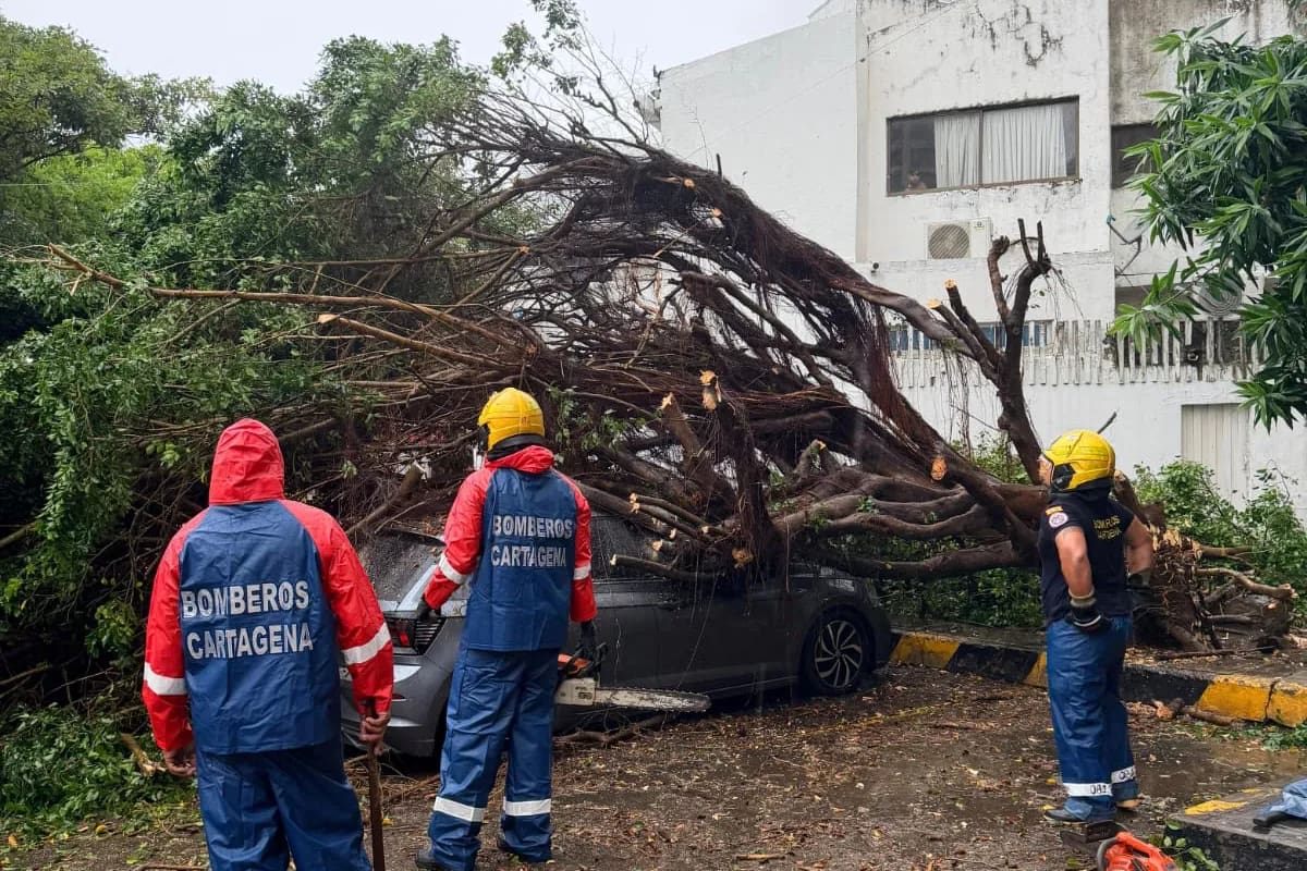 Árboles caídos y daños en viviendas, efectos de las lluvias en Cartagena