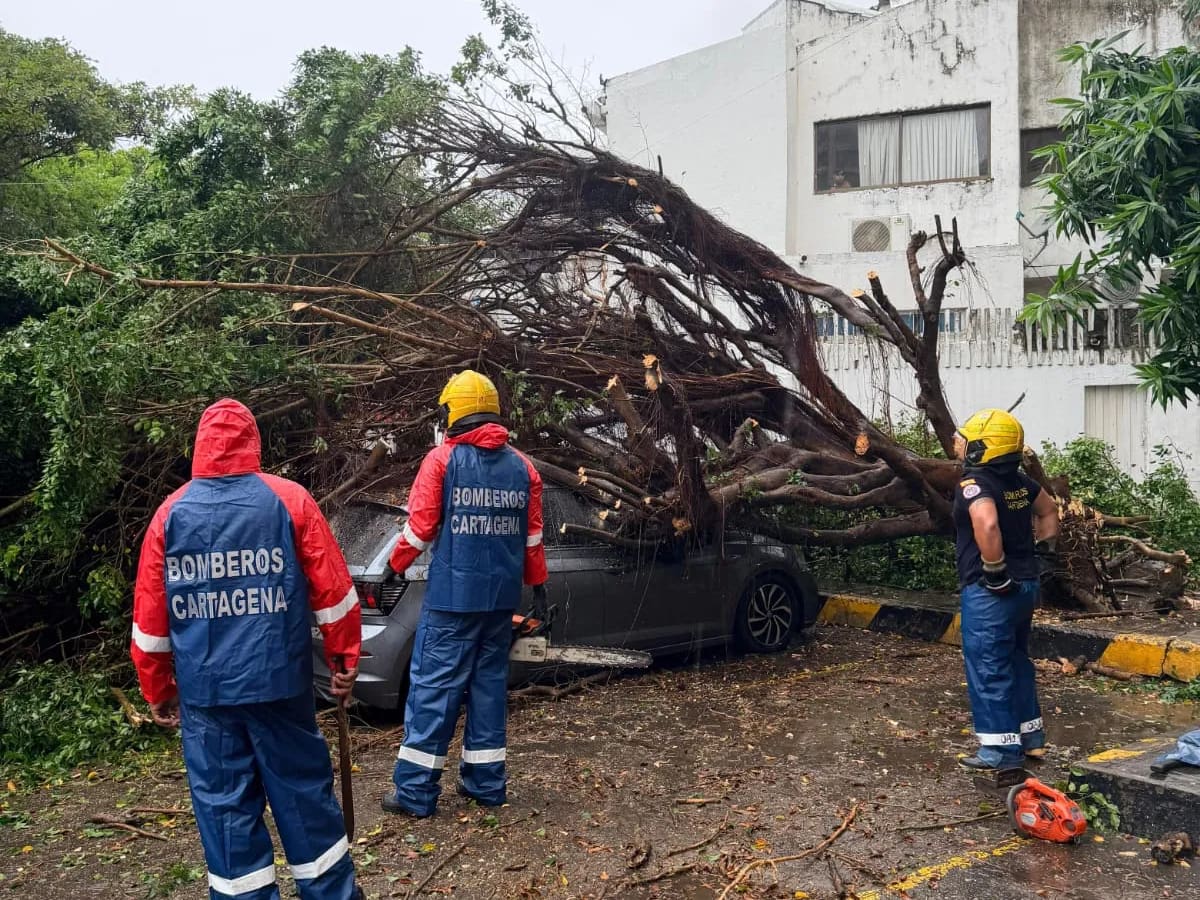 Árboles caídos y daños en viviendas, efectos de las lluvias en Cartagena. // Foto: Cuerpo de Bomberos de Cartagena