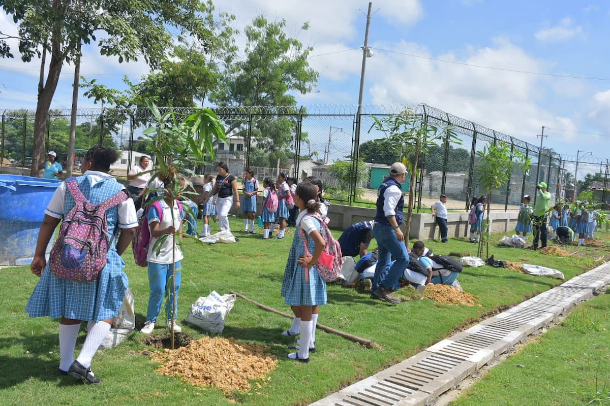 ¡Buena esa! EPA regala 50 nuevos árboles a la Institución Educativa San Felipe Neri